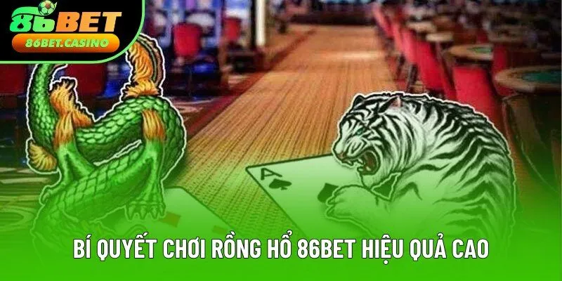 Bí quyết chơi rồng hổ 86bet hiệu quả cao