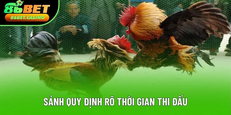 Mỗi trận đều có thời lượng thi nhất định