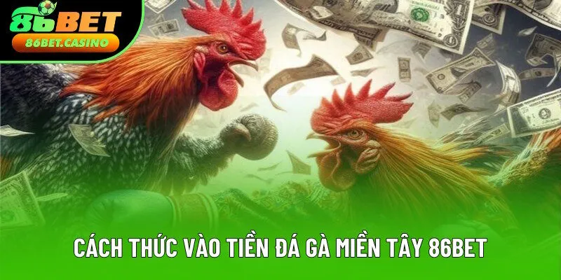 Cách vào tiền của kê chọi miền Tây