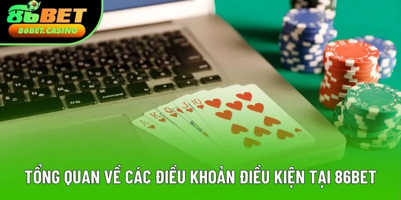 Tổng quan về các điều khoản điều kiện tại 86bet