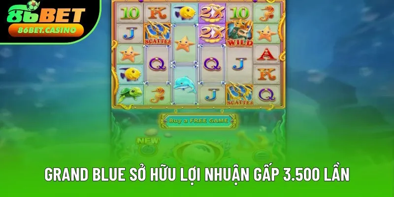 Grand Blue nâng cao tài chính gấp 3500 lần Grand Blue nâng cao tài chính gấp 3500 lần