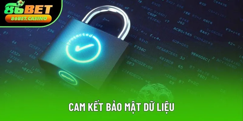 Cam kết bảo mật dữ liệu 