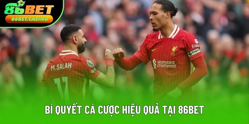 Bí quyết cá cược hiệu quả tại 86bet