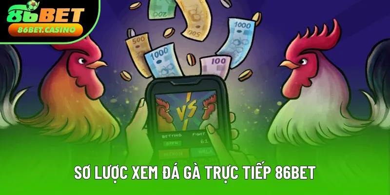 Diễn giải sơ lược về xem đá gà trực tiếp 86bet
